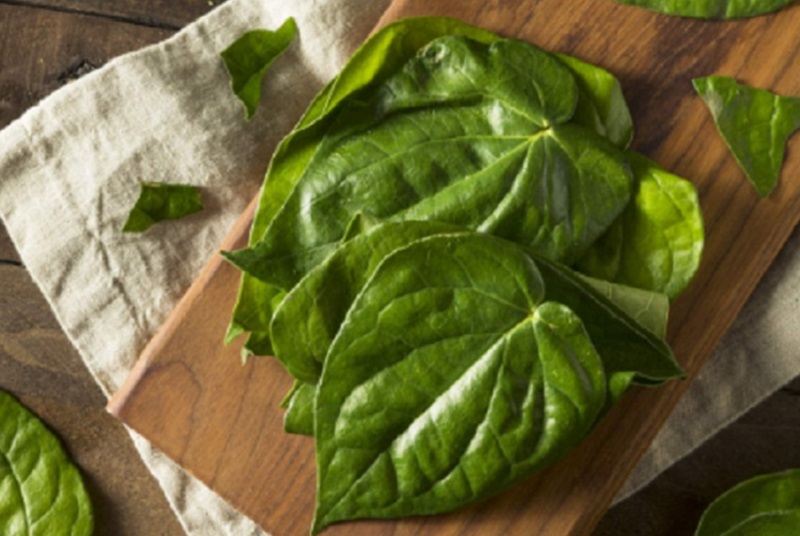 6 Daun yang Ampuh Turunkan Asam Urat