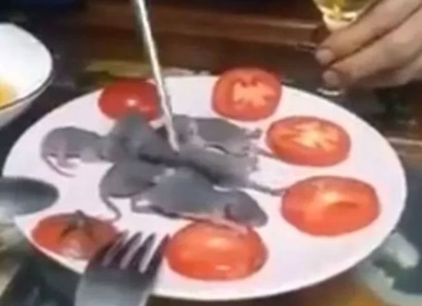 Muncul Video Pria Makan Bayi Tikus Hidup, 