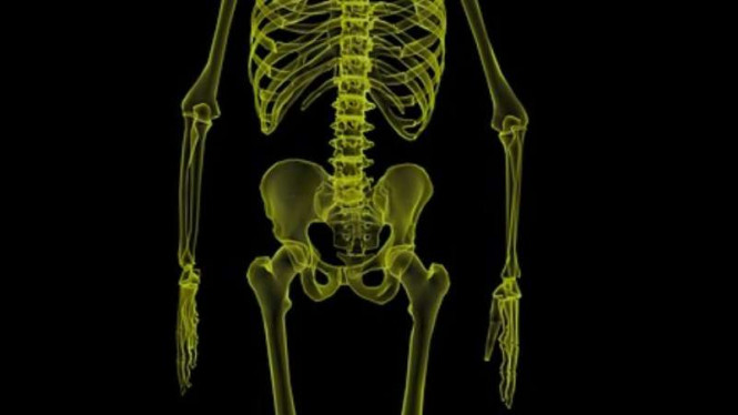 Bantu Sembuhkan Radang Sendi dengan Makanan Ini