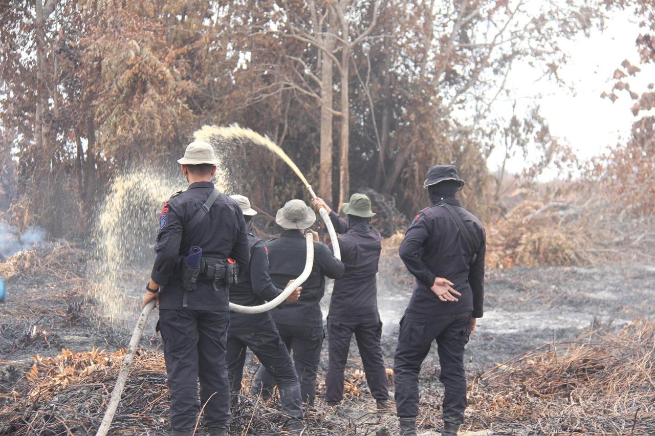 Brimob Polda Riau BKO Bengkalis Tanggap Darurat Padamkan Karhutla