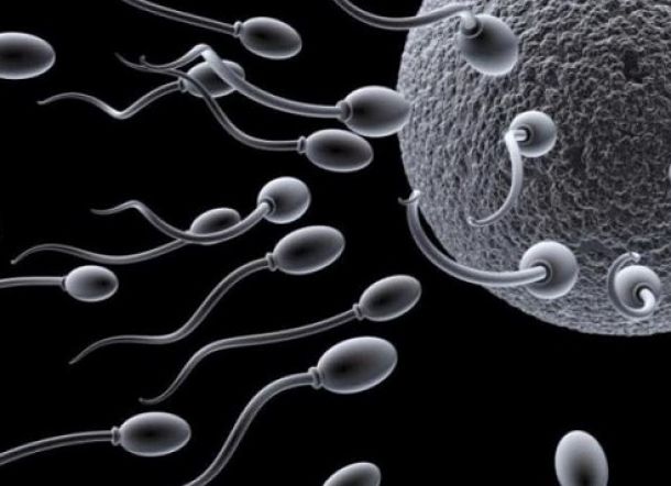 Bagaimana Nasib Sperma Jika Pria Tak Pernah Ejakulasi?