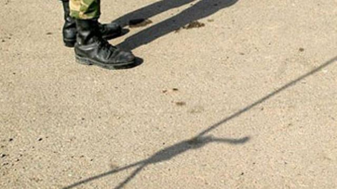 10 Hewan Ini Dihukum Mati karena ‘Kejahatannya’