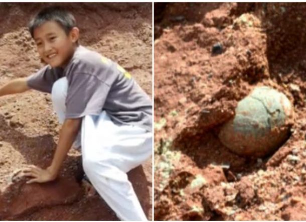 Hasil gambar untuk bocah temukan telur dinosaurus