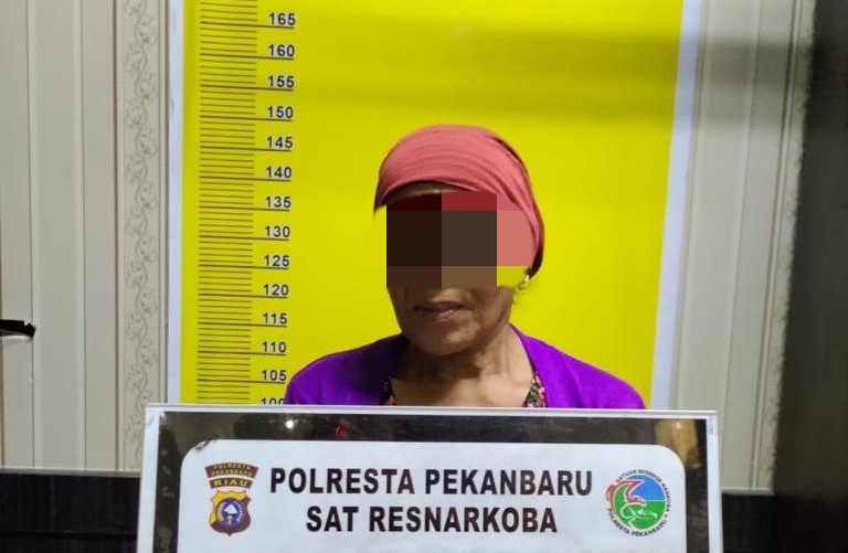 Diduga Jadi Bandar Narkoba, Emak Ditangkap Satresnarkoba Polresta Pekanbaru
