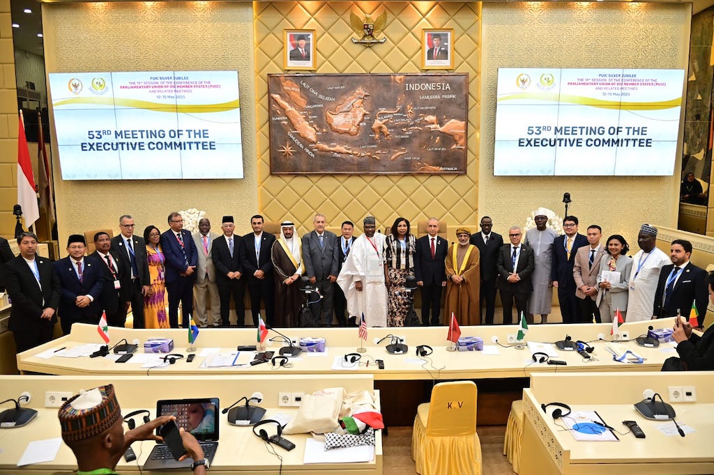 BKSAP DPR Tegaskan  Komitmen Parlemen OKI Perjuangkan Palestina