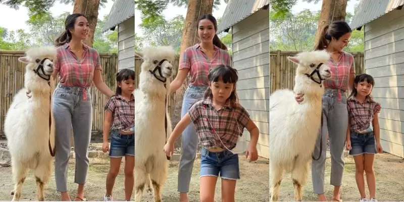 Viral Video Gisel Jepit Keledai di Selangkangan, Bikin Salfok!