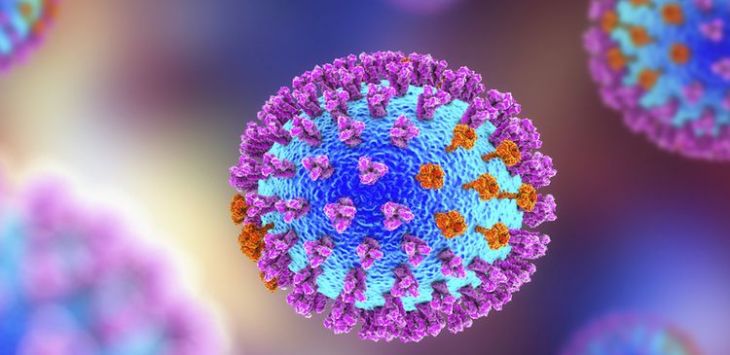 Virus Varian Delta Tak Mungkin Terbang dari India ke Indonesia