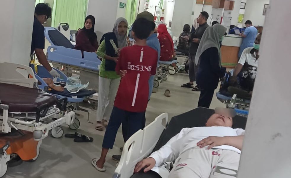 Dinkes Tangani 9 Korban Gigitan Anjing Liar di Tenayan Raya