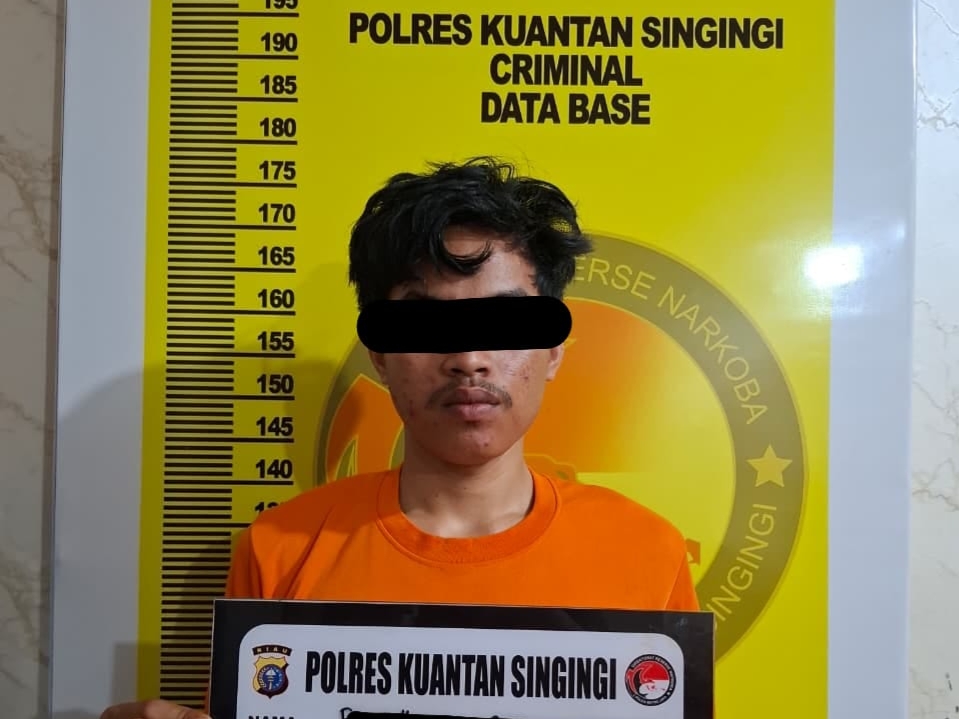Tim Elang Kuantan Tangkap Remaja 19 Tahun Edarkan Ganja 17,18 Gram di Singingi