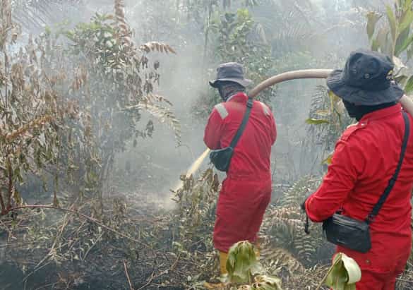 Karhutla Kembali Ancam Riau, Lahan Gambut di Dumai Terbakar