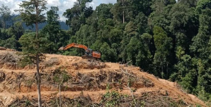 Gubernur Riau Minta DLHK Tindak Tegas Pelaku Perambah TNBT