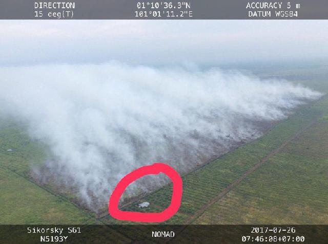 KLHK: Lahan Dibakar di Riau Milik Pabrik Kertas yang Izinnya Dicabut