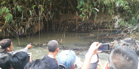 Muncul di Sungai, Buaya Ompong Gegerkan Warga