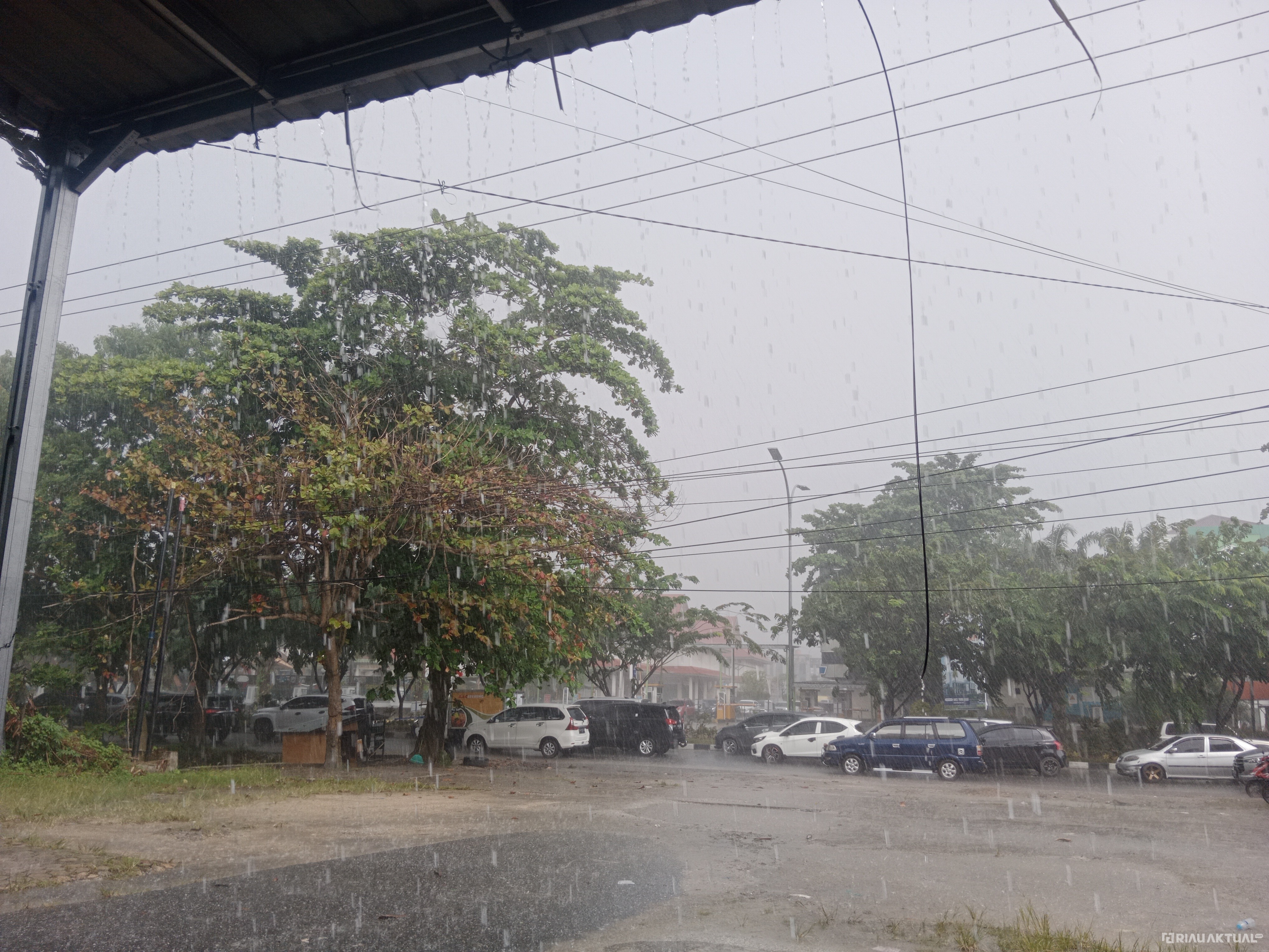 BMKG : Hujan Berpotensi Guyur Sebagian Besar Wilayah Riau