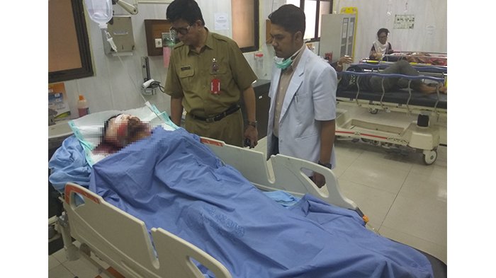 Diterkam dari Belakang, Begini Beruang Serang Pasutri Versi Polres Kampar