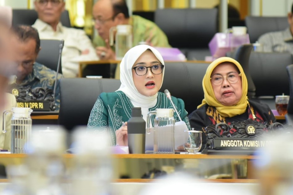 DPR Minta KKP Perhatikan Serius UMKM Budidaya Ikan dan Nelayan Kecil