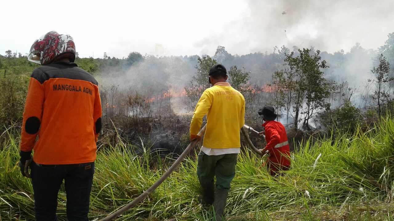 Masuk Puncak Kemarau, Pemko Pekanbaru Bersiap Tetapkan Status Siaga Darurat Karhutla