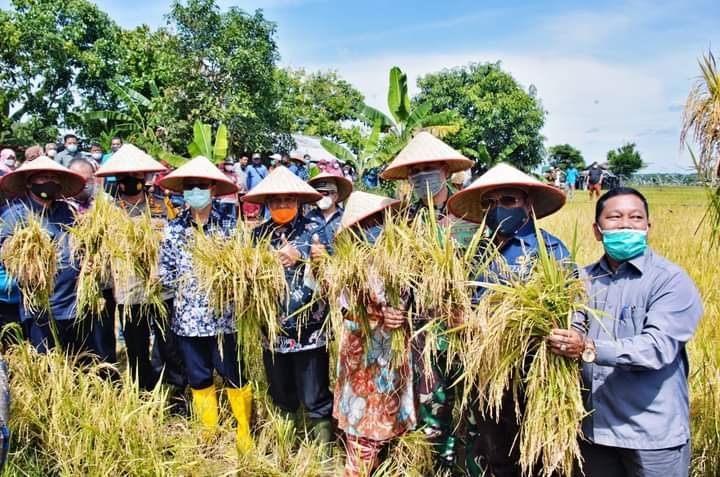 Riau Masih Duduki Peringkat ke-1 Provinsi dengan NTP Tertinggi