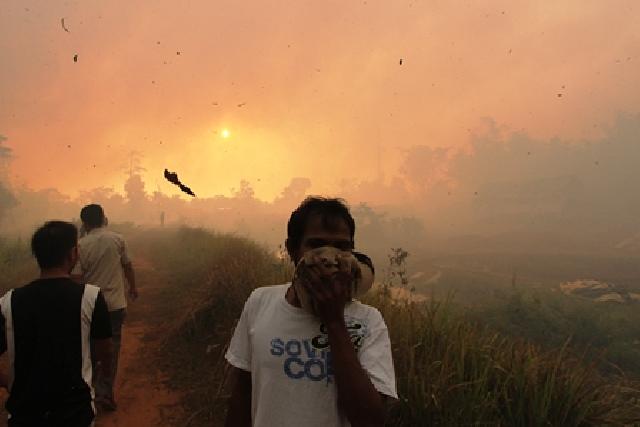 Penyakit Dampak Kabut Asap Capai 13.062