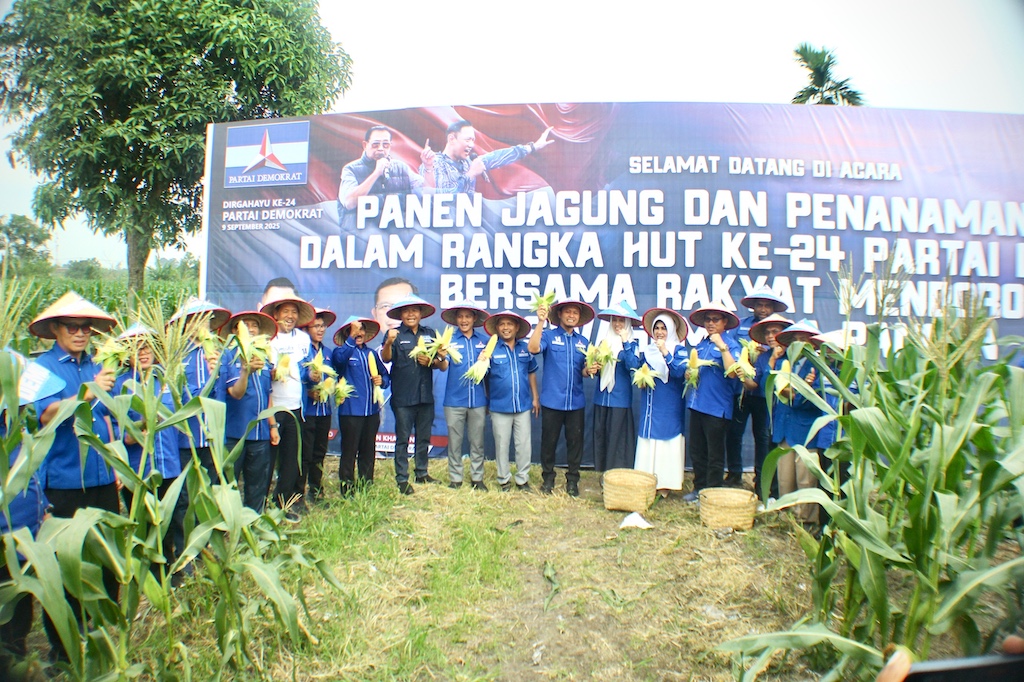 Demokrat Riau Rayakan HUT ke-24 dengan Panen Jagung dan Doa untuk SBY