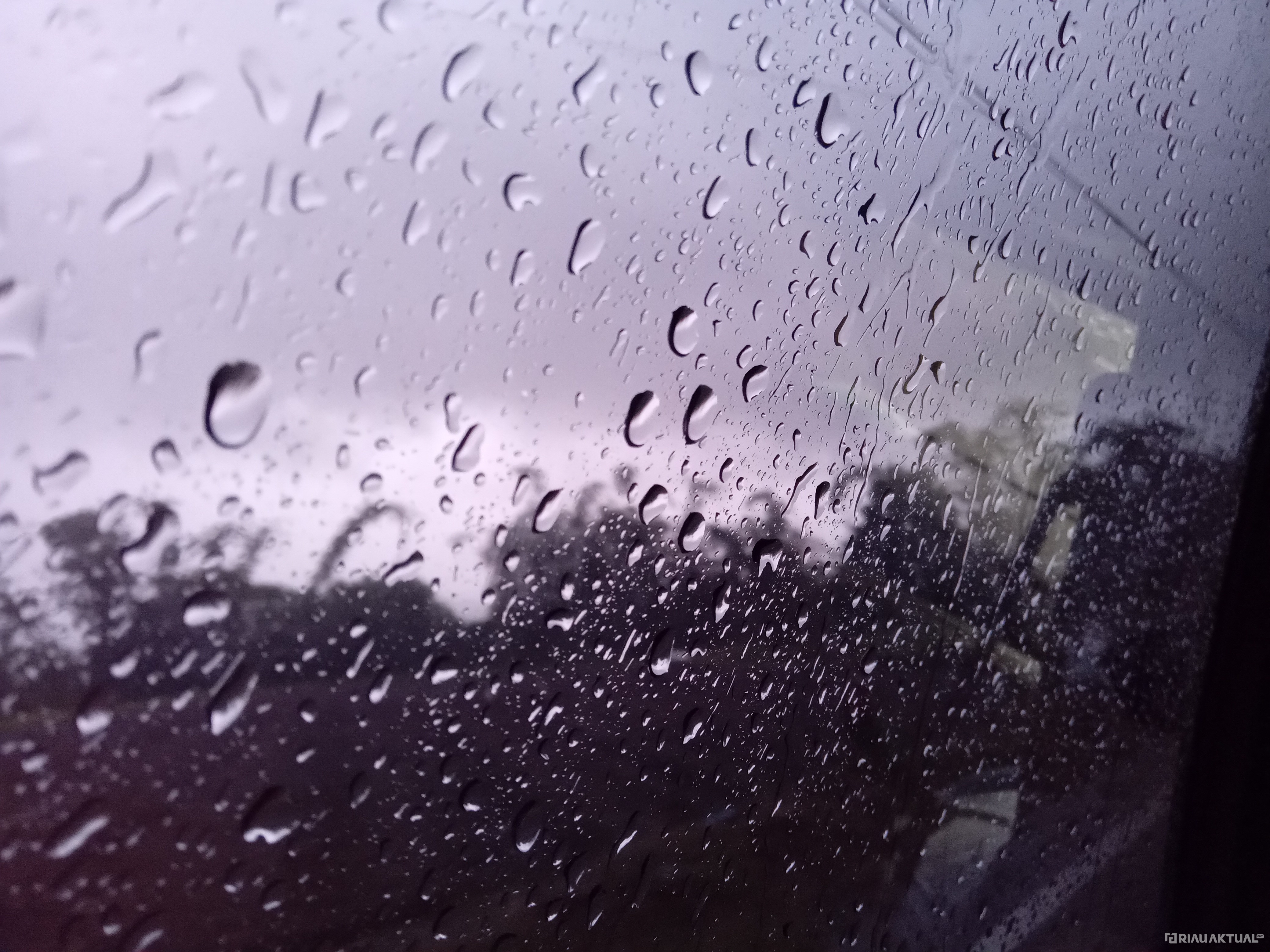 Masuki Awal Maret, Riau Masih Berpotensi Hujan Disertai Angin Kencang