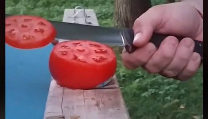 Keterampilan Memotong Tingkat Dewa Ini Bikin Melongo