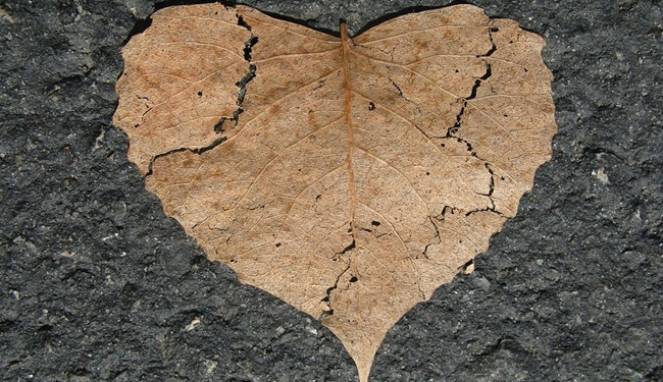 Cara Mengatasi Sakit Hati Menggunakan Resep dari Alquran