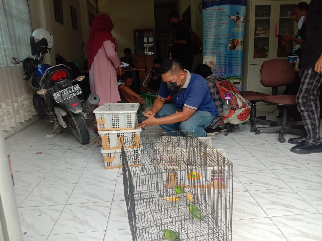 Balai BKSDA Riau Gagalkan Transaksi Satwa Burung Yang Dilindungi