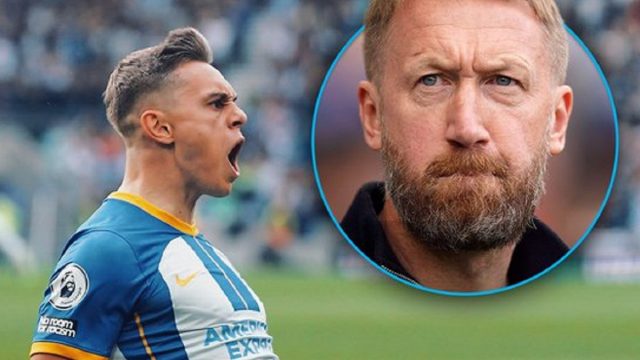 Fakta Menarik Usai Chelsea Babak Belur di Stadion Amex, Sejarah Bagi Brighton