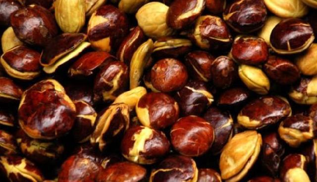 Jengkol Sumbang Inflasi Riau