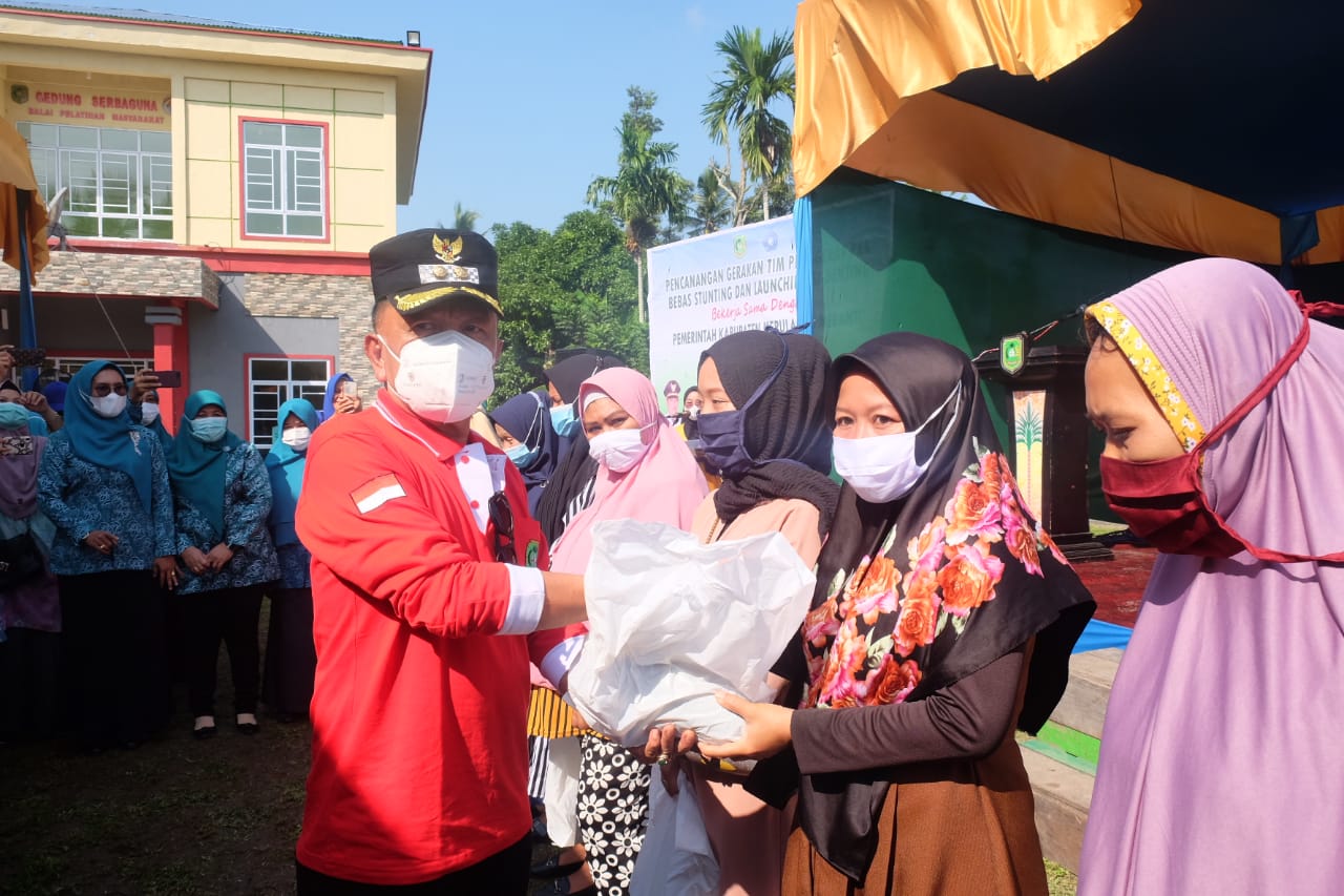 Wabup H. Asmar Canangkan Gerakan Tim Penggerak PKK Bebas Stunting dan Launching Aplikasi Sidenting