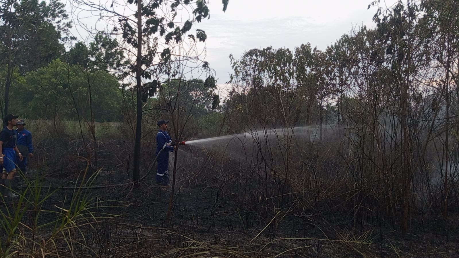 Ancaman Karhutla Ditengah Kemarau, 11 Hektar Lahan di Pekanbaru Terbakar