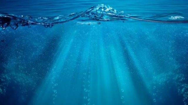 Heboh Penemuan Tulang Ikan Raksasa di Pantai Selayar, Giginya Setinggi Orang Dewasa!