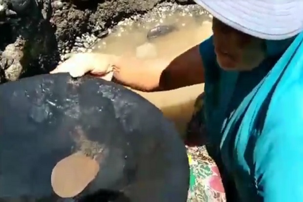 Penampakan Warga Maluku Tengah Beramai-ramai Berburu Emas di Pantai Pohon Batu