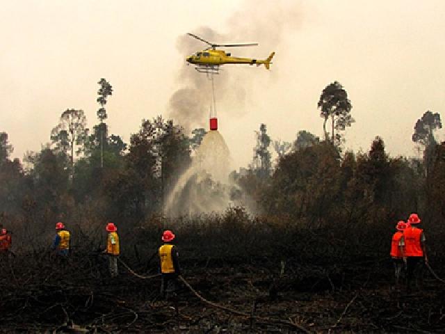 BNPB Terjunkan Helikopter Tambahan ke Riau