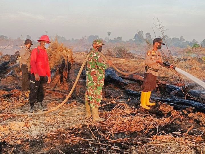 Diduga Sengaja Dibakar, 1 Hektare Lahan di Dusun Kasang Salak Rohul Rata Dilalap Api