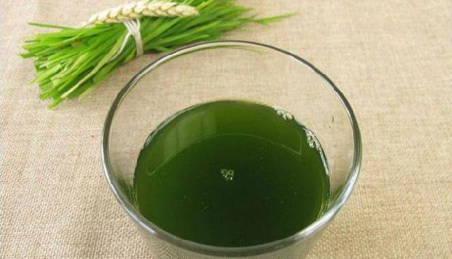 5 Minuman Ini Bakar Lemak Lebih Cepat