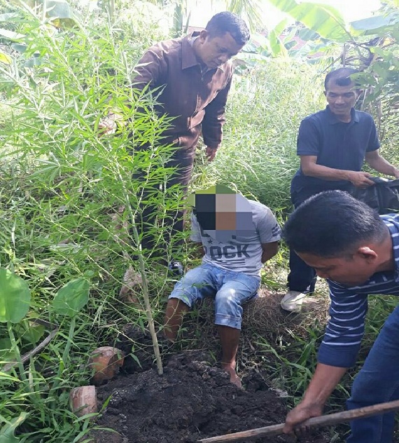 Wah, Disamping Rumah Pengedar Narkoba di Pekanbaru ini Juga ada Kebun Ganja