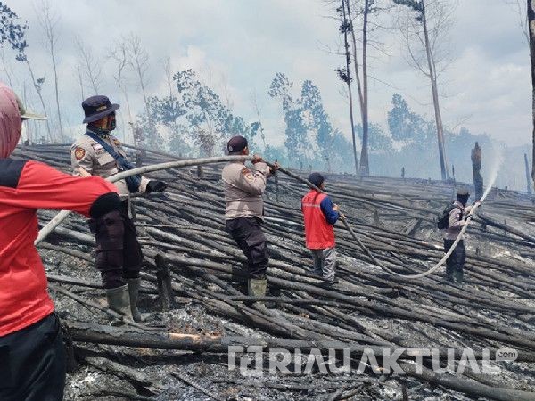 Kebakaran Hanguskan 5 Hektare Habitat Gajah dan Harimau di TNTN Riau