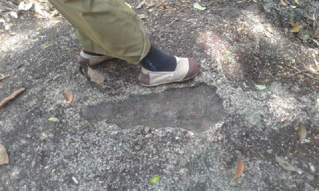 Heboh! Jejak Kaki Raksasa Ditemukan di Bangka Belitung