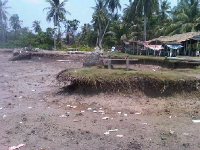 Abrasi Kembali Ancam Pesisir Pulau Rangsang