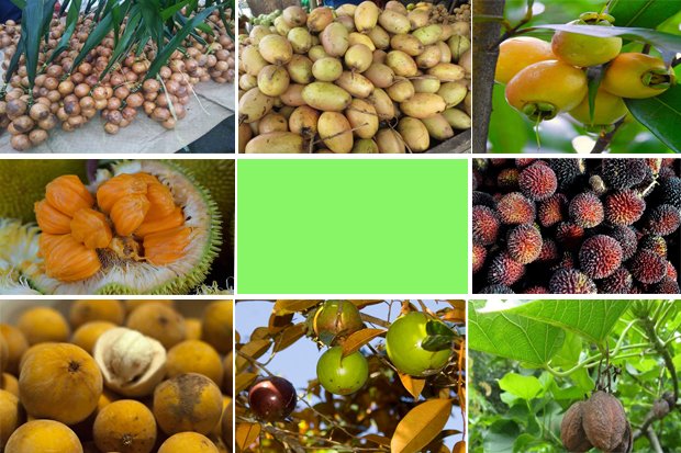 Buah Asli Indonesia Ini Nyaris Punah, Apa Saja?