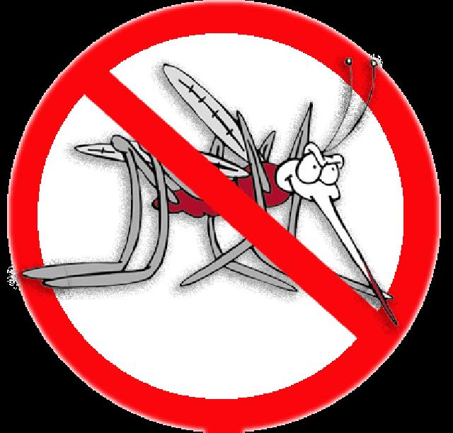 Kasus DBD Meningkat, 5 Orang Meninggal Dunia