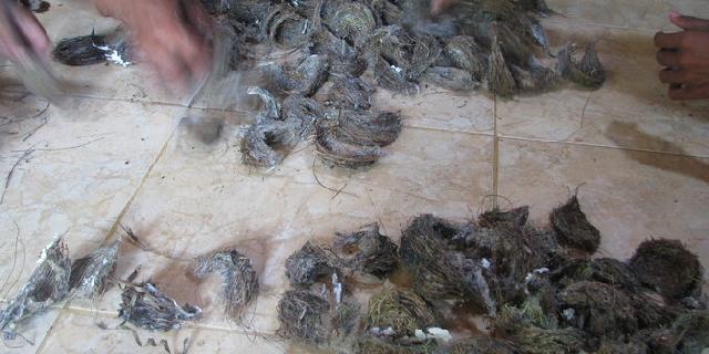 Pencuri walet di Riau meninggal dunia usai dihakimi massa