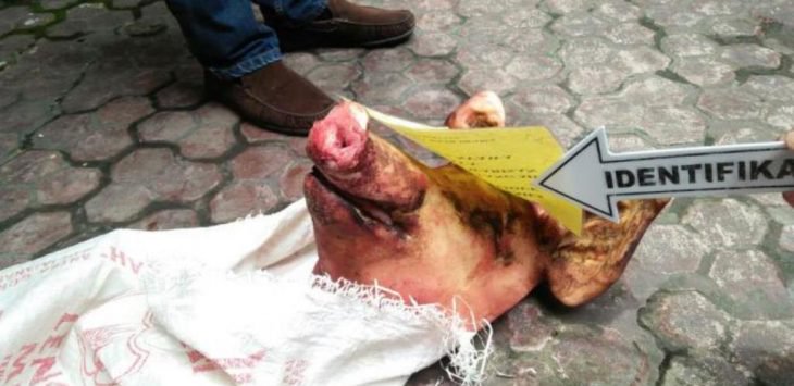 Astafirullah! Gedung Masyarakat Minang di Medan ‘Diteror’ Kepala Babi