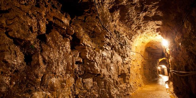 BI Gelar Mini University Untuk Eks Pekerja Tambang Batu Bara