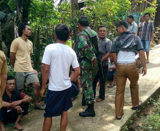 Harimau Sumatera Berkeliaran, Desa di Mandailing Natal Mencekam