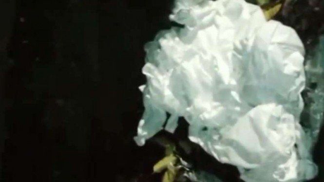 Geger, Ambulans Buang APD Bekas COVID-19 di Tepi Jalan Jagakarsa