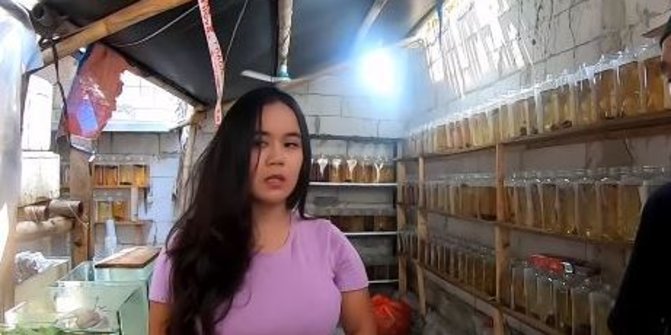 Ibu Dewi, Guru Cantik yang Sukses jadi Peternak Ikan Cupang di Bekasi
