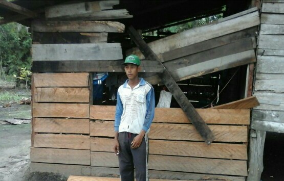 Karena Kelaparan, Gajah Liar di Duri  Rusak Rumah dan Makan Beras Warga